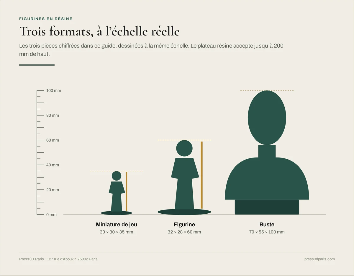 Schéma à l'échelle : miniature de jeu de 35 mm, figurine de 60 mm et buste de 100 mm, côte à côte sur une règle graduée