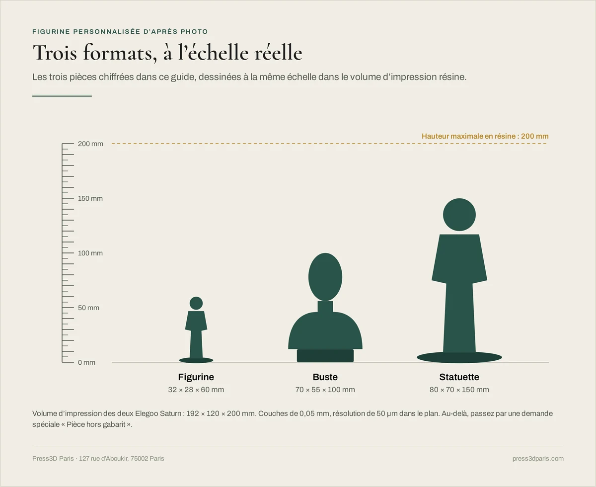 Figurine de 60 mm, buste de 100 mm et statuette de 150 mm dessinés à la même échelle, sous la hauteur maximale de 200 mm des imprimantes résine